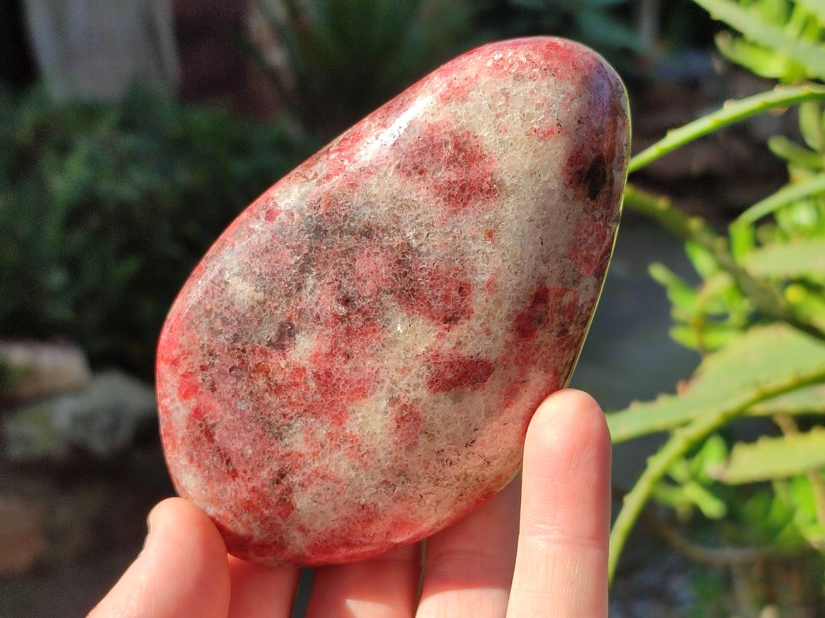 Polished Rhodonite Free Forms x 3 From Rhusinga, Zimbabwe - Toprock Gemstones and Minerals 
