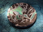 Polished Large Septerye Bowl x 1 From Mahajanga, Madagascar - Toprock Gemstones and Minerals 