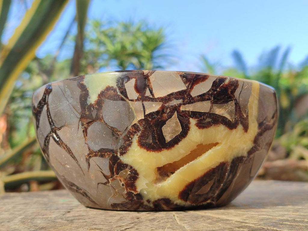 Polished Large Septerye Bowl x 1 From Mahajanga, Madagascar - Toprock Gemstones and Minerals 