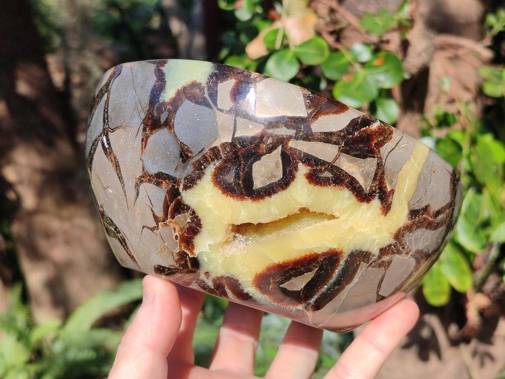 Polished Large Septerye Bowl x 1 From Mahajanga, Madagascar - Toprock Gemstones and Minerals 