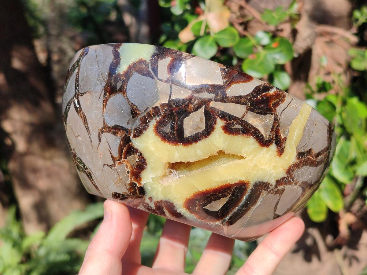 Polished Large Septerye Bowl x 1 From Mahajanga, Madagascar - Toprock Gemstones and Minerals 