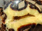 Polished Large Septerye Bowl x 1 From Mahajanga, Madagascar - Toprock Gemstones and Minerals 