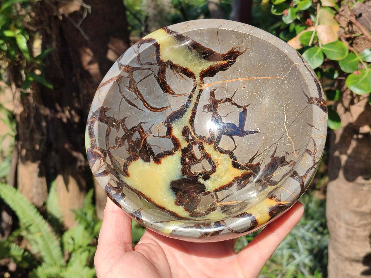 Polished Large Septerye Bowl x 1 From Mahajanga, Madagascar - Toprock Gemstones and Minerals 