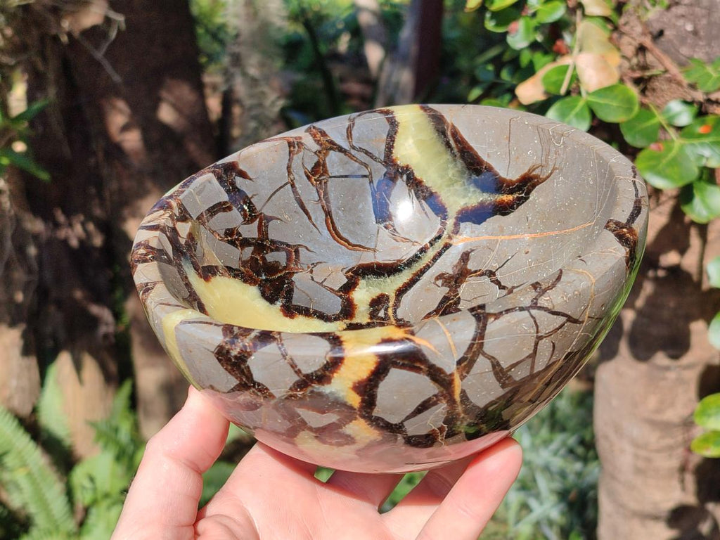 Polished Large Septerye Bowl x 1 From Mahajanga, Madagascar - Toprock Gemstones and Minerals 
