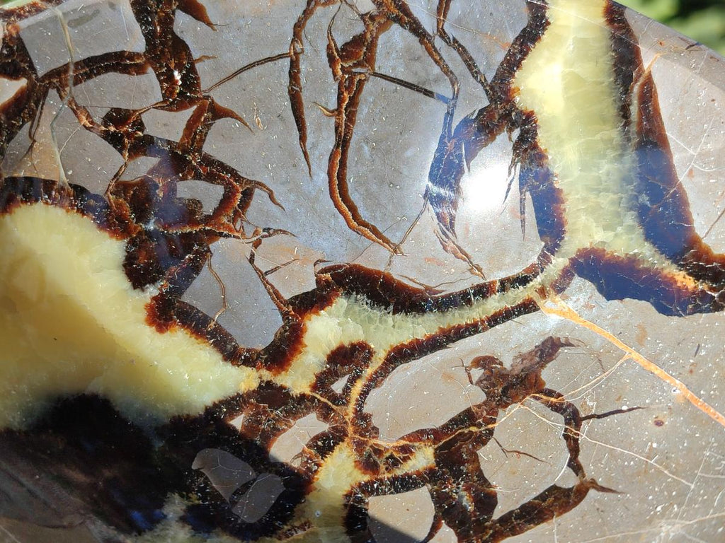 Polished Large Septerye Bowl x 1 From Mahajanga, Madagascar - Toprock Gemstones and Minerals 