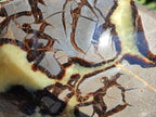 Polished Large Septerye Bowl x 1 From Mahajanga, Madagascar - Toprock Gemstones and Minerals 