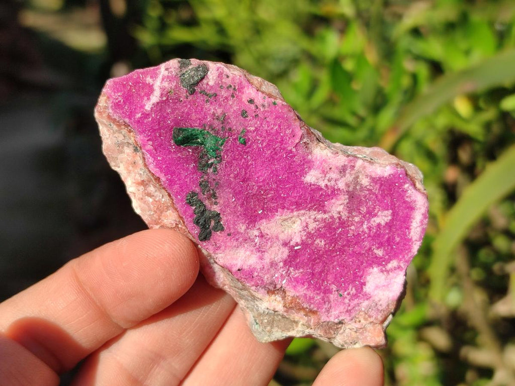 Natural Salrose Cobaltoan Dolomite Specimens x 12 From Kakanda, Congo - Toprock Gemstones and Minerals 
