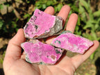 Natural Salrose Cobaltoan Dolomite Specimens x 12 From Kakanda, Congo - Toprock Gemstones and Minerals 