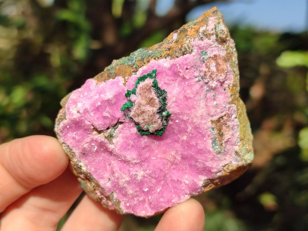 Natural Salrose Cobaltoan Dolomite Specimens x 12 From Kakanda, Congo - Toprock Gemstones and Minerals 