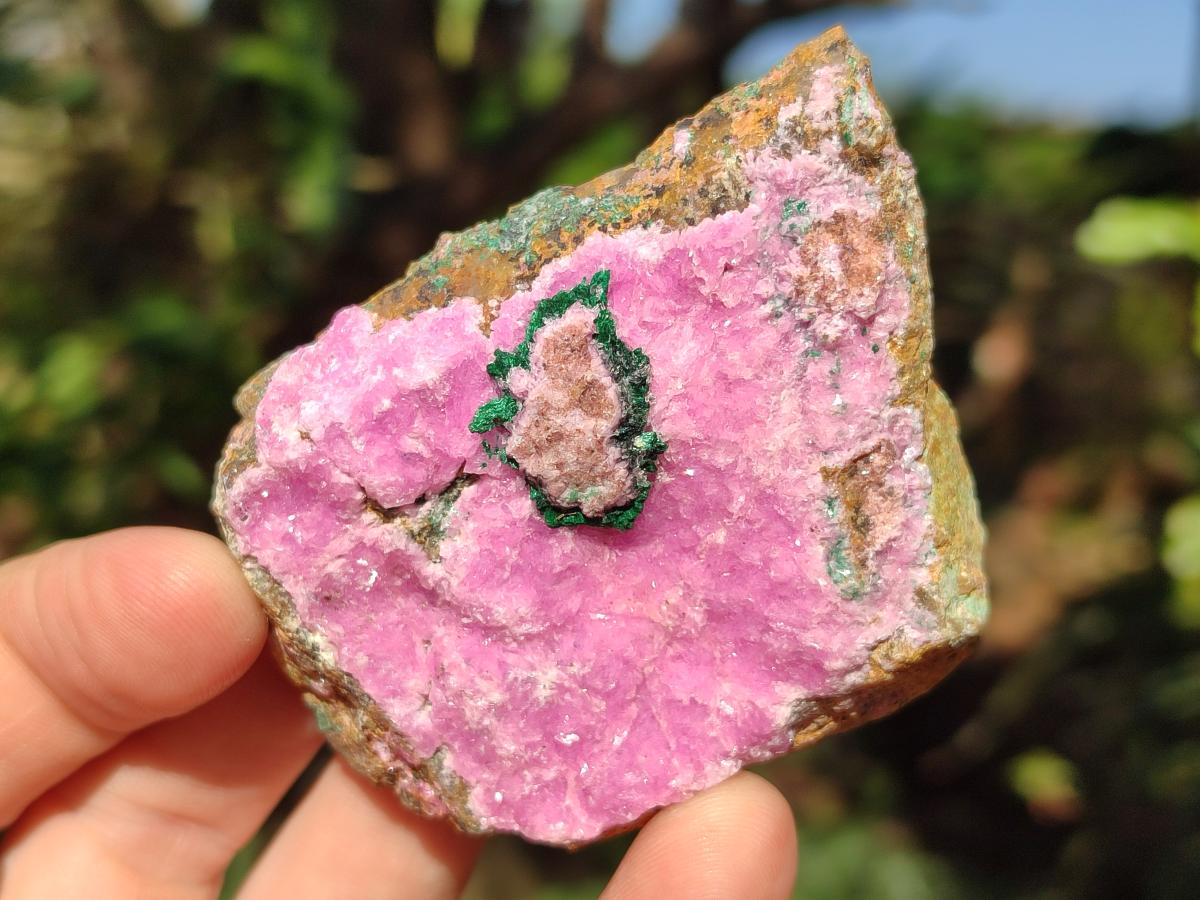 Natural Salrose Cobaltoan Dolomite Specimens x 12 From Kakanda, Congo - Toprock Gemstones and Minerals 