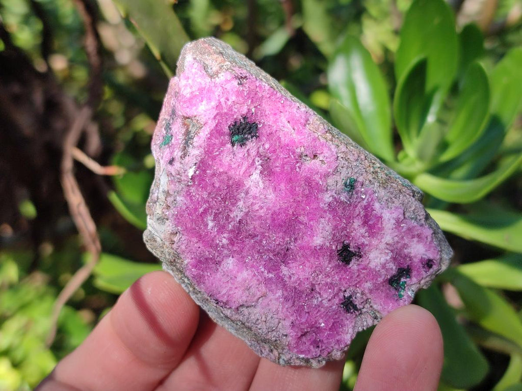 Natural Salrose Cobaltoan Dolomite Specimens x 12 From Kakanda, Congo - Toprock Gemstones and Minerals 