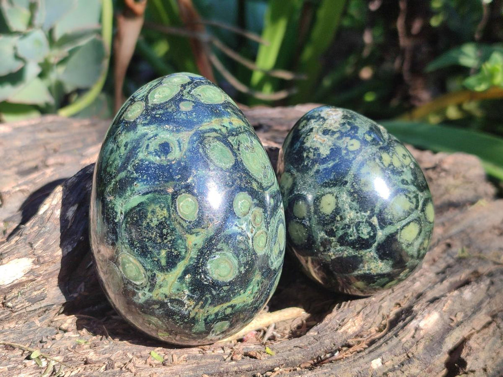Polished Stromatolite "Kambaba Jasper" Eggs x 12 From Katsepy, Madagascar - Toprock Gemstones and Minerals 