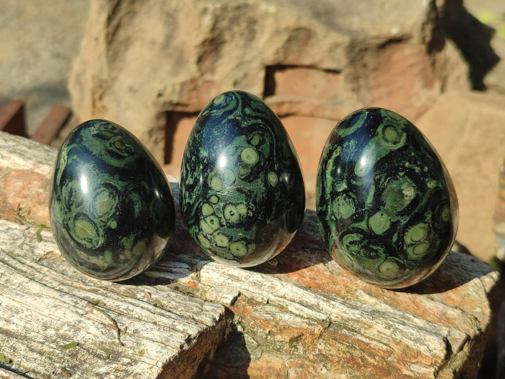 Polished Stromatolite "Kambaba Jasper" Eggs x 12 From Katsepy, Madagascar - Toprock Gemstones and Minerals 