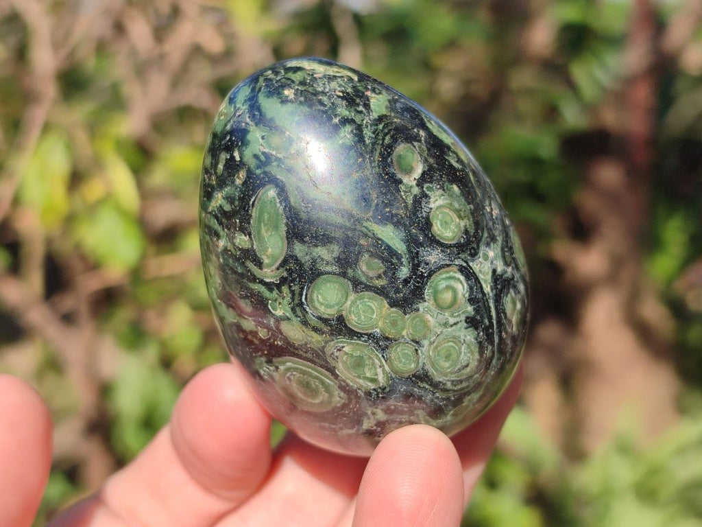 Polished Stromatolite "Kambaba Jasper" Eggs x 12 From Katsepy, Madagascar - Toprock Gemstones and Minerals 