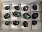 Polished Stromatolite "Kambaba Jasper" Eggs x 12 From Katsepy, Madagascar - Toprock Gemstones and Minerals 