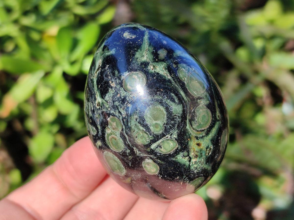 Polished Stromatolite "Kambaba Jasper" Eggs x 12 From Katsepy, Madagascar - Toprock Gemstones and Minerals 