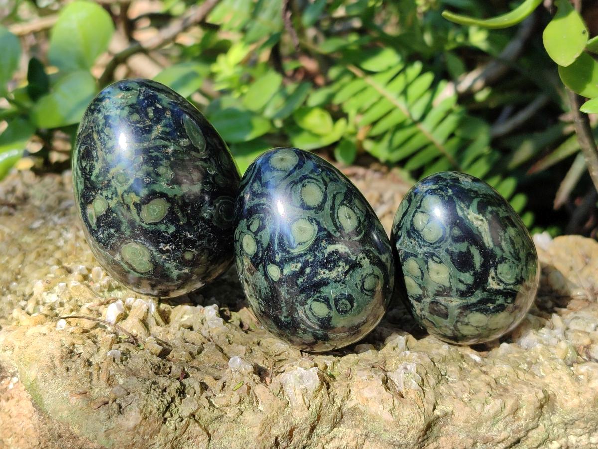 Polished Stromatolite "Kambaba Jasper" Eggs x 12 From Katsepy, Madagascar - Toprock Gemstones and Minerals 