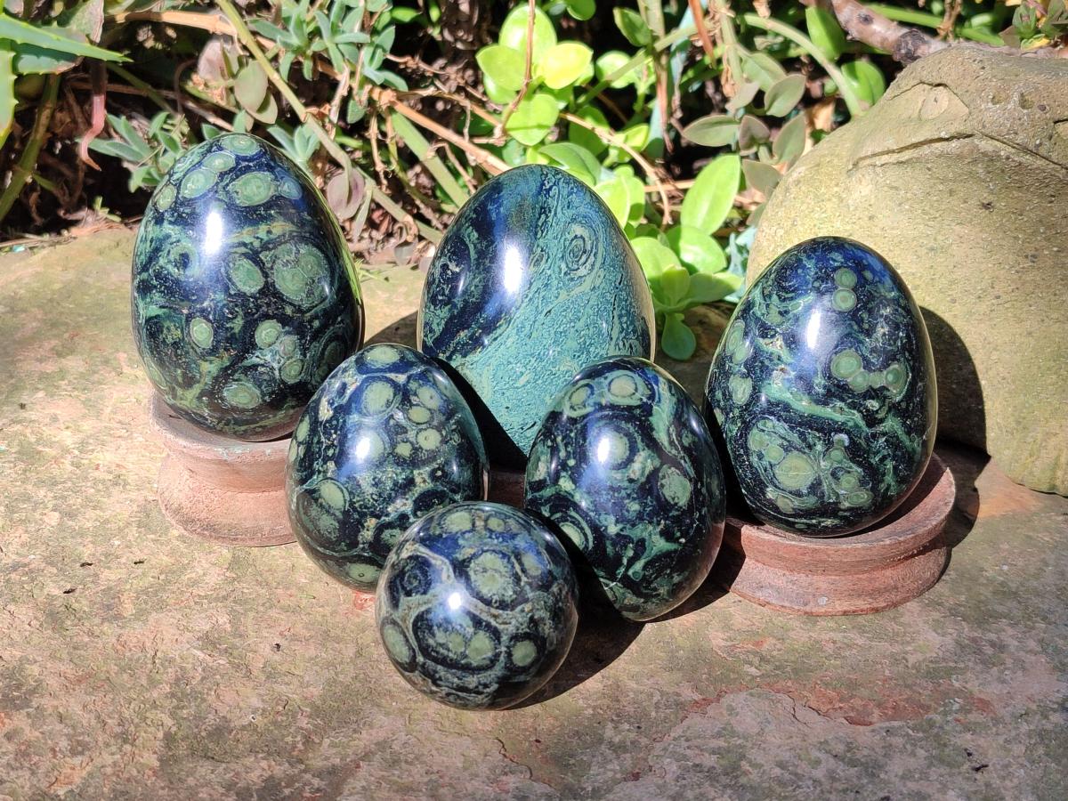 Polished Stromatolite "Kambaba Jasper" Eggs x 12 From Katsepy, Madagascar - Toprock Gemstones and Minerals 