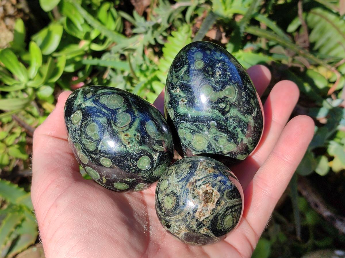 Polished Stromatolite "Kambaba Jasper" Eggs x 12 From Katsepy, Madagascar - Toprock Gemstones and Minerals 