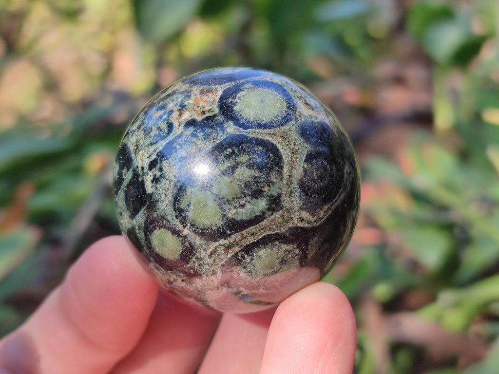 Polished Stromatolite "Kambaba Jasper" Eggs x 12 From Katsepy, Madagascar - Toprock Gemstones and Minerals 
