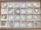 Polished Rock Crystal Standing Display Pieces x 24 From Amoron’i Mania, Madagascar - Toprock Gemstones and Minerals 