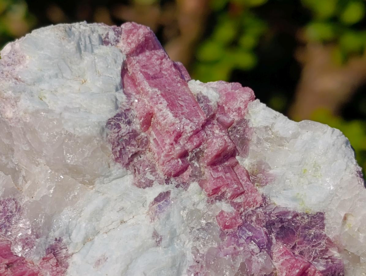 Natural Pink Rubellite Tourmaline Specimens x 3 From Karibib, Namibia - Toprock Gemstones and Minerals 