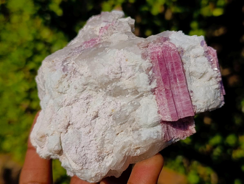 Natural Pink Rubellite Tourmaline Specimens x 3 From Karibib, Namibia - Toprock Gemstones and Minerals 