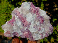 Natural Pink Rubellite Tourmaline Specimens x 3 From Karibib, Namibia - Toprock Gemstones and Minerals 