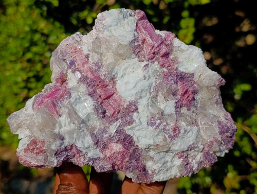 Natural Pink Rubellite Tourmaline Specimens x 3 From Karibib, Namibia - Toprock Gemstones and Minerals 