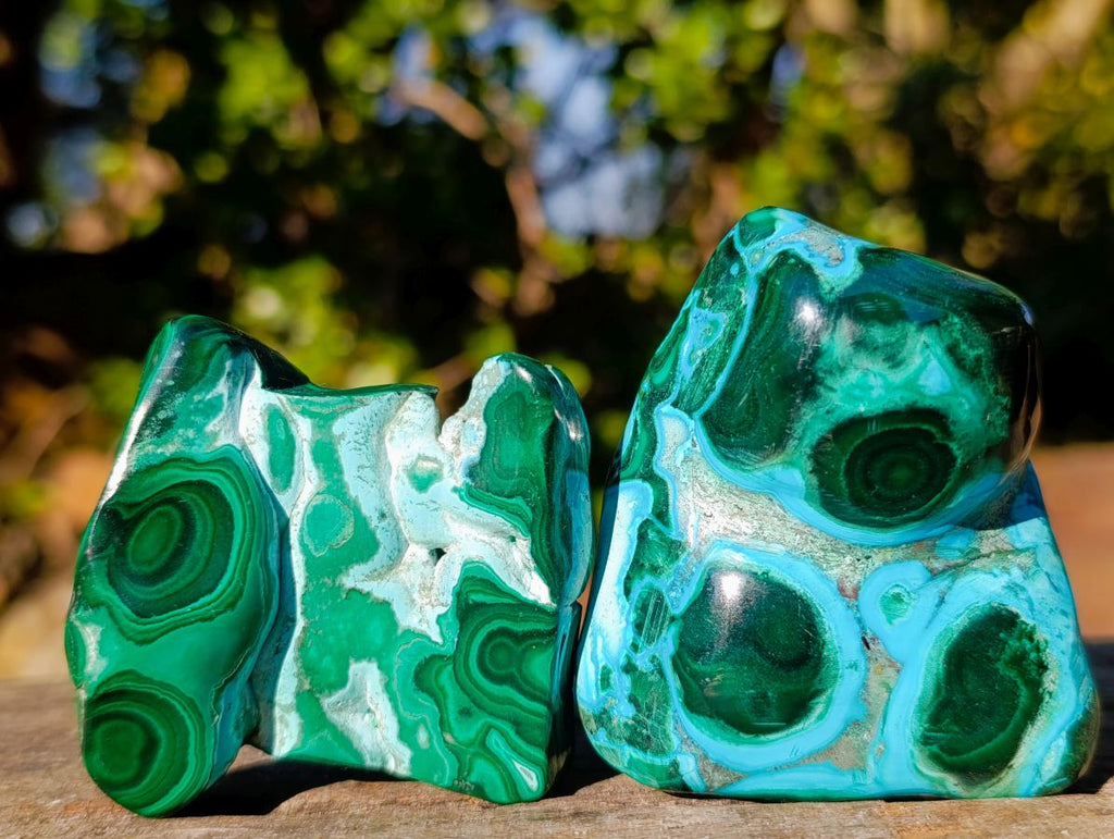 Polished Malacolla Free Forms x 12 From Kulukuluku, Congo - Toprock Gemstones and Minerals 