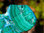 Polished Malacolla Free Forms x 12 From Kulukuluku, Congo - Toprock Gemstones and Minerals 