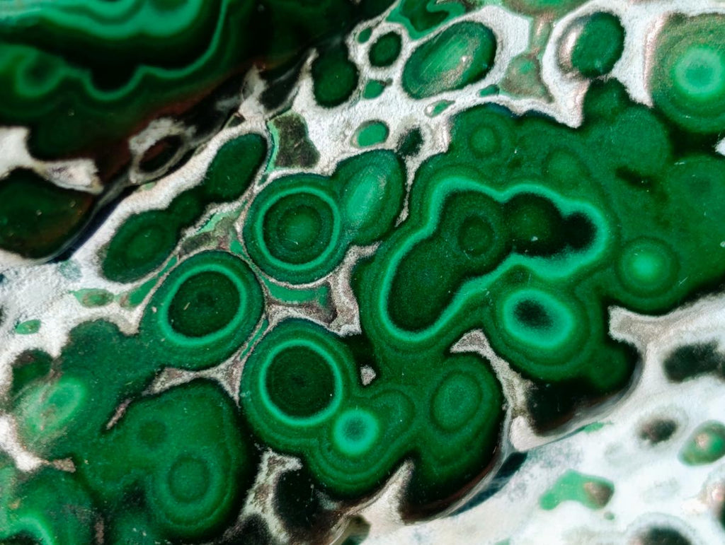 Polished Malacolla Free Forms x 12 From Kulukuluku, Congo - Toprock Gemstones and Minerals 