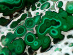Polished Malacolla Free Forms x 12 From Kulukuluku, Congo - Toprock Gemstones and Minerals 