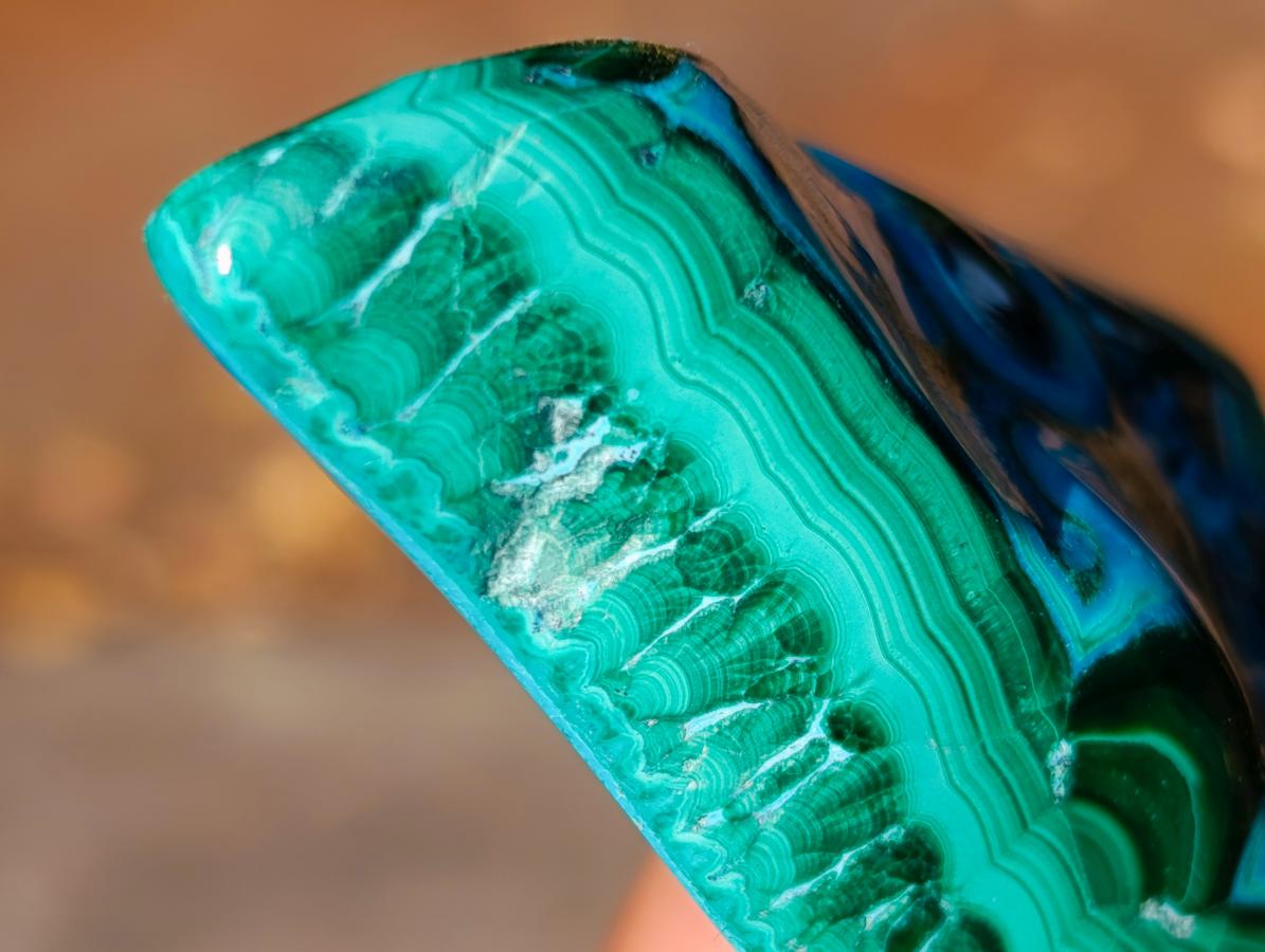 Polished Malacolla Free Forms x 12 From Kulukuluku, Congo - Toprock Gemstones and Minerals 