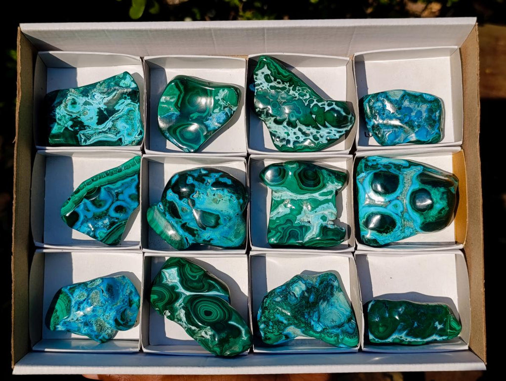 Polished Malacolla Free Forms x 12 From Kulukuluku, Congo - Toprock Gemstones and Minerals 