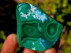 Polished Malacolla Free Forms x 12 From Kulukuluku, Congo - Toprock Gemstones and Minerals 