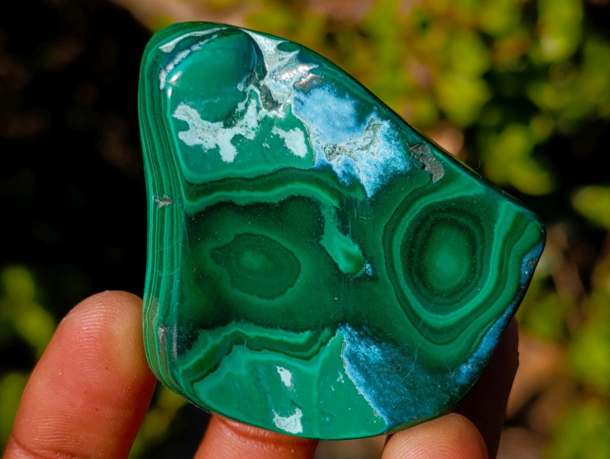 Polished Malacolla Free Forms x 12 From Kulukuluku, Congo - Toprock Gemstones and Minerals 