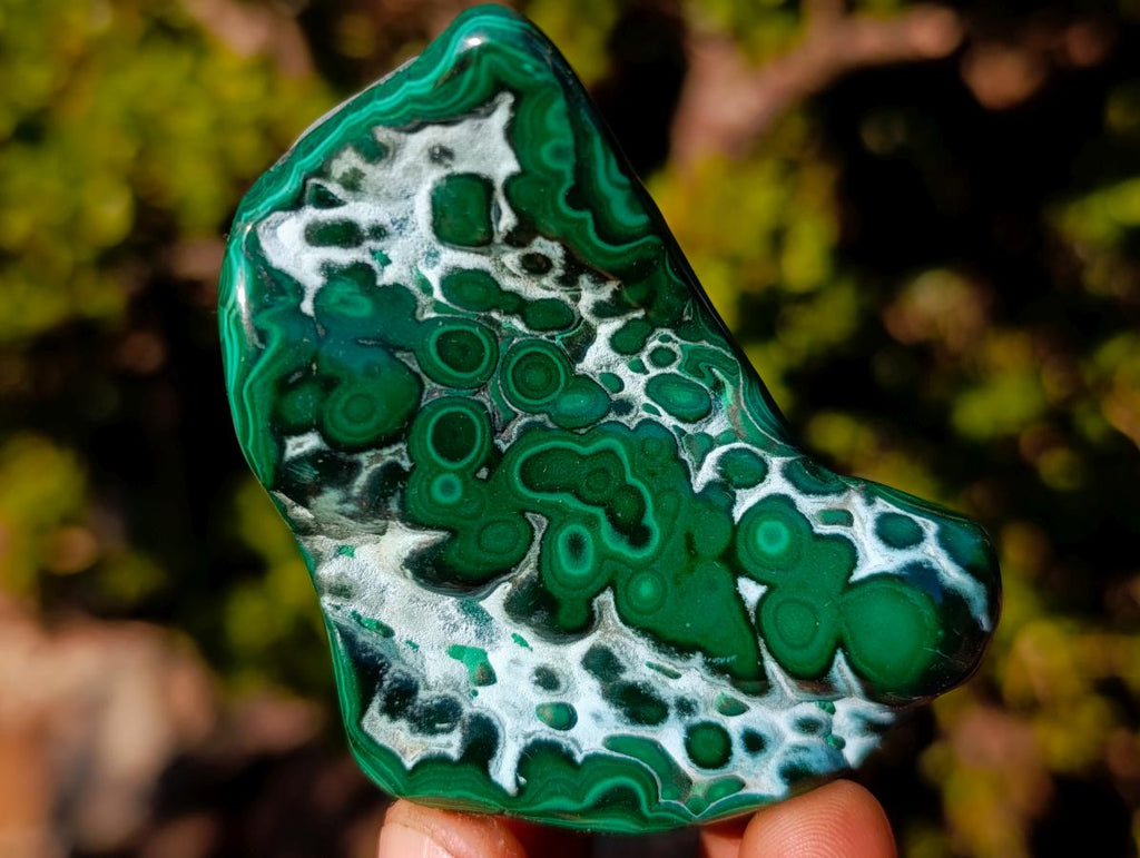 Polished Malacolla Free Forms x 12 From Kulukuluku, Congo - Toprock Gemstones and Minerals 