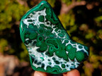 Polished Malacolla Free Forms x 12 From Kulukuluku, Congo - Toprock Gemstones and Minerals 
