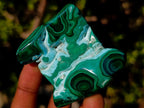 Polished Malacolla Free Forms x 12 From Kulukuluku, Congo - Toprock Gemstones and Minerals 