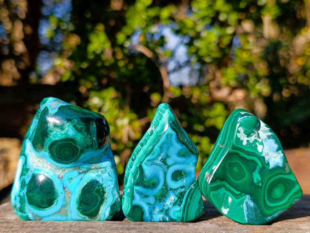 Polished Malacolla Free Forms x 12 From Kulukuluku, Congo - Toprock Gemstones and Minerals 