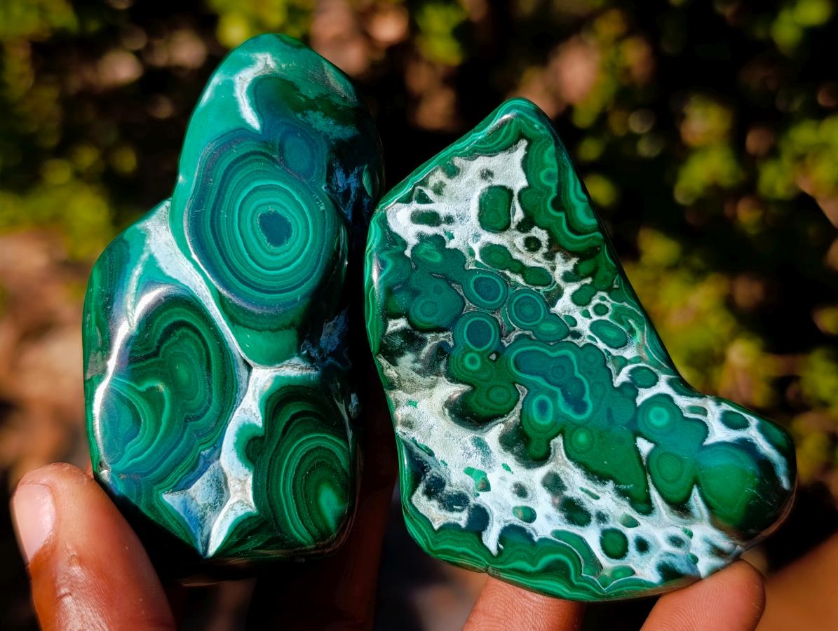 Polished Malacolla Free Forms x 12 From Kulukuluku, Congo - Toprock Gemstones and Minerals 