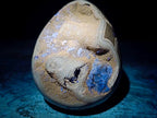 Polished Septerye Sauvage "Dragons Egg" Geodes x 3 From Mahajanga, Madagascar - Toprock Gemstones and Minerals 