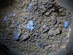 Polished Septerye Sauvage "Dragons Egg" Geodes x 3 From Mahajanga, Madagascar - Toprock Gemstones and Minerals 