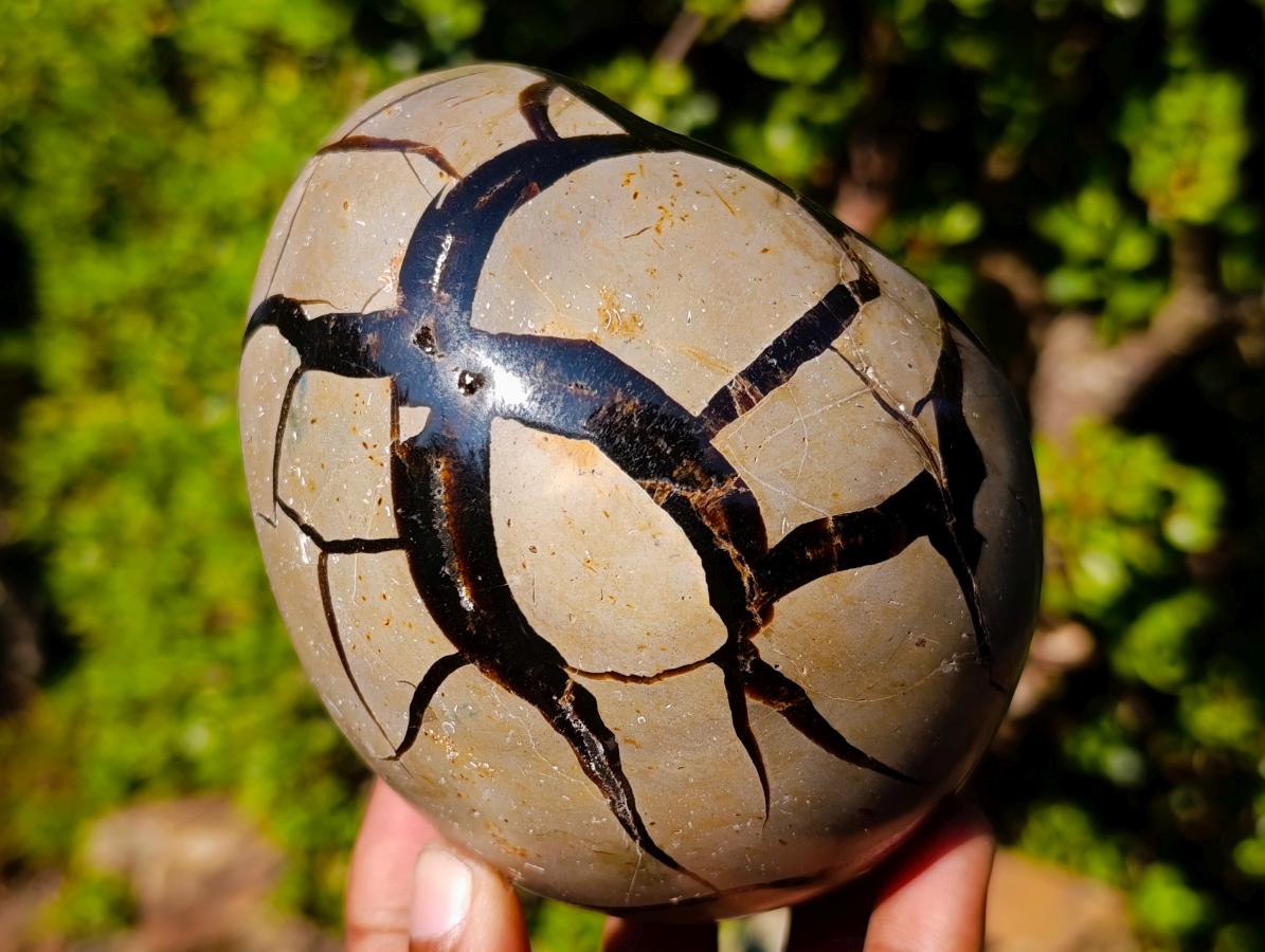 Polished Septerye Sauvage "Dragons Egg" Geodes x 3 From Mahajanga, Madagascar - Toprock Gemstones and Minerals 