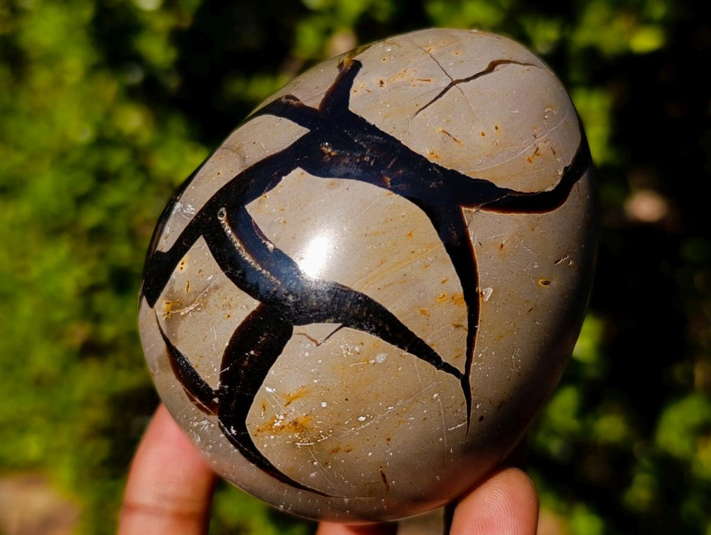 Polished Septerye Sauvage "Dragons Egg" Geodes x 3 From Mahajanga, Madagascar - Toprock Gemstones and Minerals 