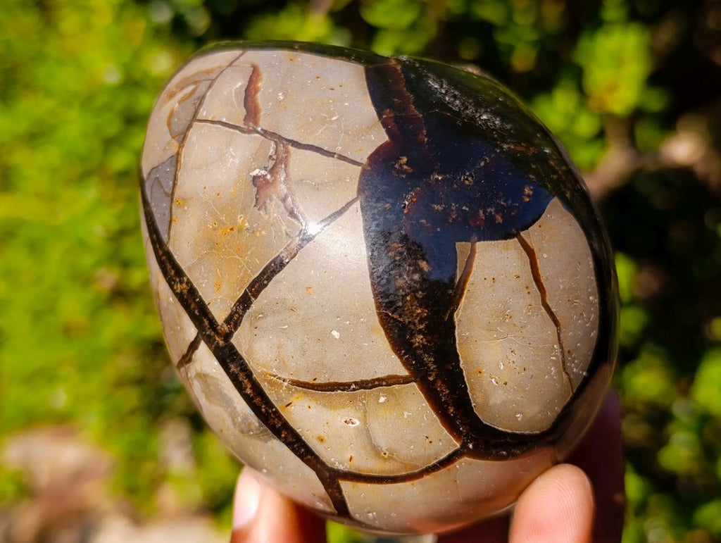 Polished Septerye Sauvage "Dragons Egg" Geodes x 3 From Mahajanga, Madagascar - Toprock Gemstones and Minerals 