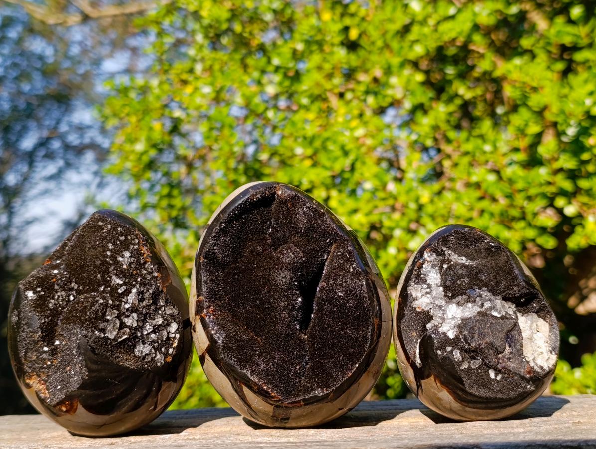 Polished Septerye Sauvage "Dragons Egg" Geodes x 3 From Mahajanga, Madagascar - Toprock Gemstones and Minerals 