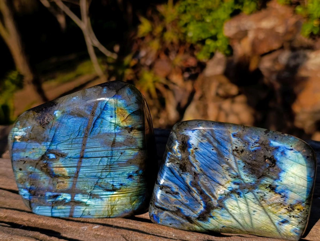 Polished Labradorite Standing Display Pieces x 2 From Madagascar - Toprock Gemstones and Minerals 