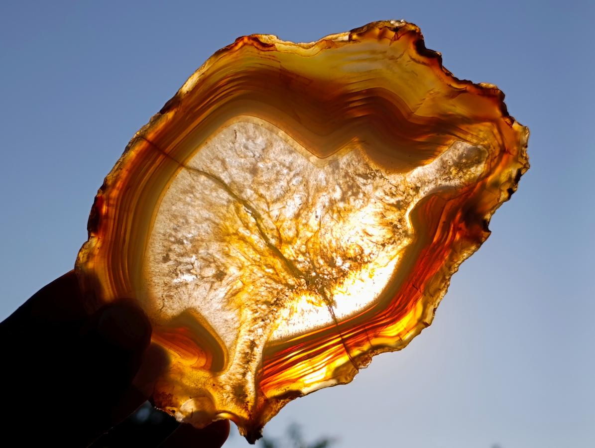 Polished Banded Agate Slices with Natural Edging x 6 From Madagascar - Toprock Gemstones and Minerals 